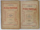 PE CAILE PROFETILOR , ATUNCI SI ACUM de I. CHIRU - NANOV , 1922