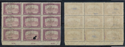 Emisiunea Cluj 1919 Parlament 50 BANI eroare BAN I intr-un bloc 9 timbre MNH foto