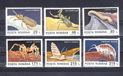M1 TX6 4 - 1993 - Descoperiri din fauna cavernicola Pestera Movile foto