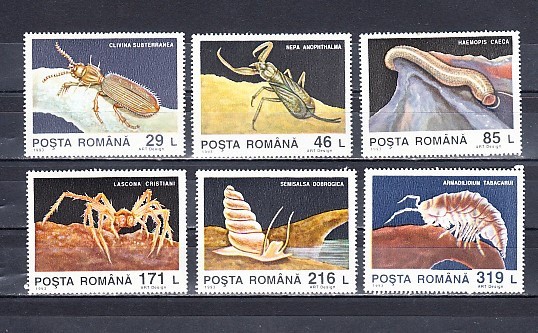 M1 TX6 4 - 1993 - Descoperiri din fauna cavernicola Pestera Movile