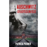 Auschwitz gy&oacute;gyszer&eacute;sze - Patricia Posner