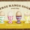 Magnet - Free Range Eggs