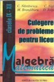 Cumpara ieftin Culegere de probleme pentru liceu - Algebra - C. Nastasescu, M. Brandiburu