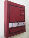 Morfopatologia - L. Georgescu
