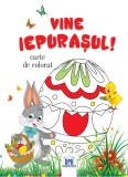 Vine Iepurasul! Carte De Colorat, - Editura DPH