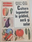 CULTURA LEGUMELOR IN GRADINA.SERA SI SOLAR