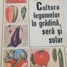 CULTURA LEGUMELOR IN GRADINA.SERA SI SOLAR