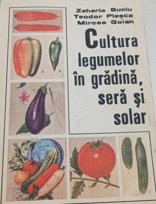 CULTURA LEGUMELOR IN GRADINA.SERA SI SOLAR foto