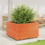 Jardiniera gradina, maro ceruit, 80x80x49,5 cm, lemn masiv pin GartenMobel Dekor, vidaXL