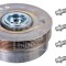 FEBI BILSTEIN 173069 Fulie curea, arbore cotit
