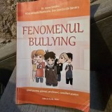 Dr. Ioana Sandru, Alina Mihaela Munteanu, Dan Constantin Serban - Fenomenul Bullying. Ghid pentru parinti, profesori, consilieri scolari