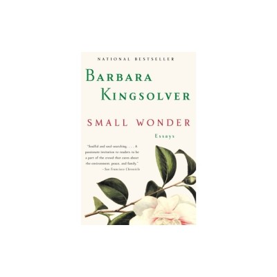 Small Wonder: Essays foto