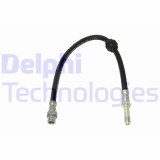 Delphi Furtun frana