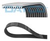 DAYCO 10PK1487HD Curea transmisie cu caneluri