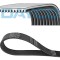DAYCO 10PK2495HD Curea transmisie cu caneluri