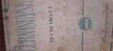 Ce-I de facut Cernisevski 1965