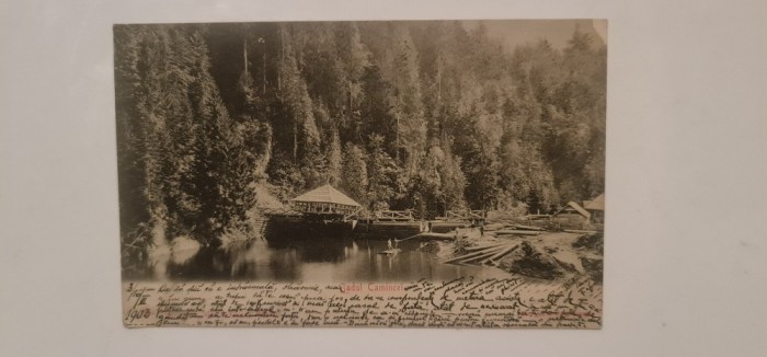 Bacău - Jadul Camincei.