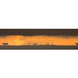 Bordura decorativa Zoo 520