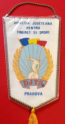 Fanion - Directia Judeteana pentru TINERET si SPORT PRAHOVA foto
