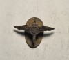 Insigna Regalista Aviatie Pilot Militar Carol II RARA Superba Miniatura
