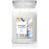 Yankee Candle Silver Birch lum&acirc;nare parfumată 567 g