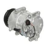 Compresor aer conditionat Mercedes Clasa A (W169), 2004-2012, motorizare 1.5, A150; A160/A160 BlueEfficiency; benzina, rola curea 110 mm, 5 caneluri,