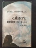 CALATORIE NETERMINATA - Anghel Dumbraveanu