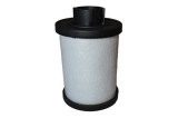 Filtru Combustibil 142817 70231