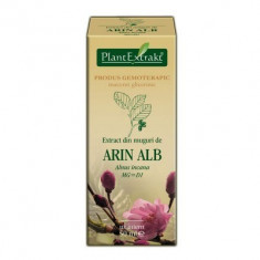 Extract din muguri de ARIN ALB 50ml Plant Extrakt foto