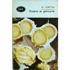 P. Cerna - Floare si genune