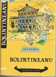 Cumpara ieftin Dimitrie Bolintineanu - Ion Roman, Biografia, Colectia Oameni de Seama, Editura Tineretului, 1962, 250 Pagini