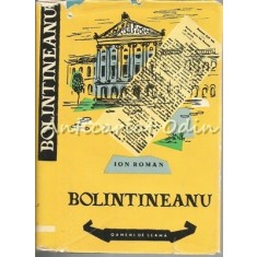Dimitrie Bolintineanu - Ion Roman