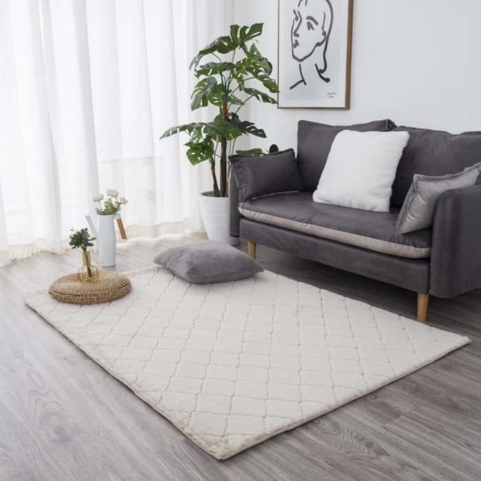 Blanita Model Lop, Antiderapant, Crem Grofat 050, Diverse Dimensiuni, 1650 gr/mp - 120x160