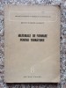 Materiale de Formare pentru Turnatorie - Colectiv, Tehnica, 1954, Romana, Carte Tehnica Turnatorie