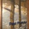 Gellu Dorian; Emil Iordache - Pasii Poetului (Editura Timpul, 2000)