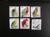 CONGO PAPAGALI SERIE STAMPILATA=83