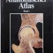 Anatomischer Atlas (Band 1) &ndash; Janos Vajda