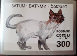 Batum Pisici, felina BLOC Mnh