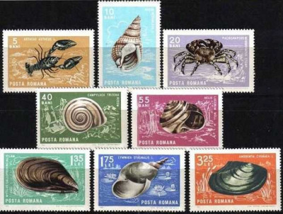 1966 - Crustacee si moluste, fauna, serie neuzata foto