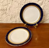 2 FARFURII DIN PORTELAN WINTERLING KIRCHENLAMITZ BAVARIA- ECHT KOBALT SCHARFFEUER D19,5CM