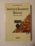Stelian Brezeanu - Identități și solidarități medievale: controverse istorice