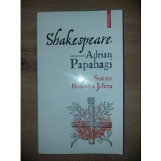 Shakespeare interpretat de Adrian Papahagi Sonete Romeo si Julieta