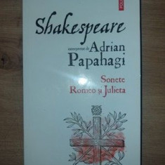 Shakespeare interpretat de Adrian Papahagi Sonete Romeo si Julieta