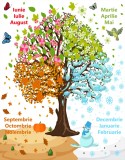 Autocolant Copacul Anotimpurilor - 125x160 cm