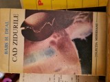 Cad zidurile vintage