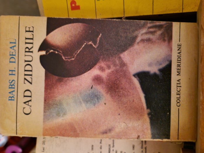 Cad zidurile vintage