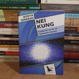 KOSTA DANAOS - NEI KUNG : INVATATURILE SECRETE ALE RAZBOINICILOR INTELEPTI , 2014 *