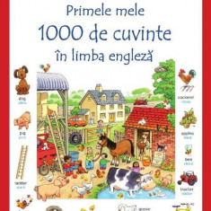 Primele mele 1000 de cuvinte în limba engleză - Paperback brosat - Heather Amery, Mairi Mackinnon - Niculescu