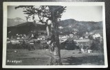 Carte postala, Predeal 1924