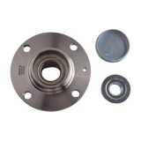 Kit Rulment Roata (Butuc) 555379 FBR.172